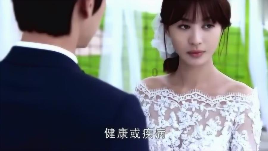 五彩鹦鹉救援